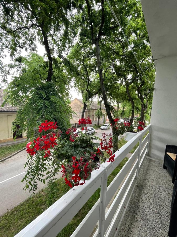 Apartman Venera Sombor Exterior foto